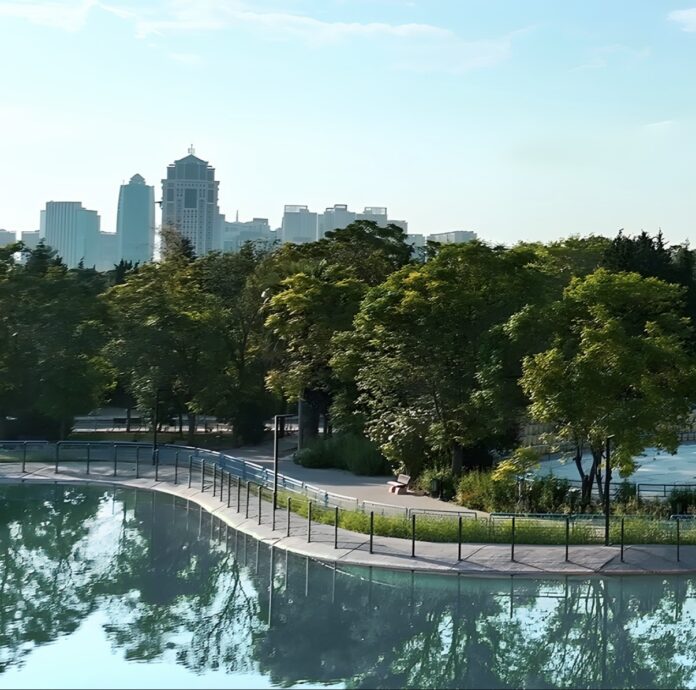 40,000 Trees Erbil Parks Project Will Cool the City and Reduce Dust