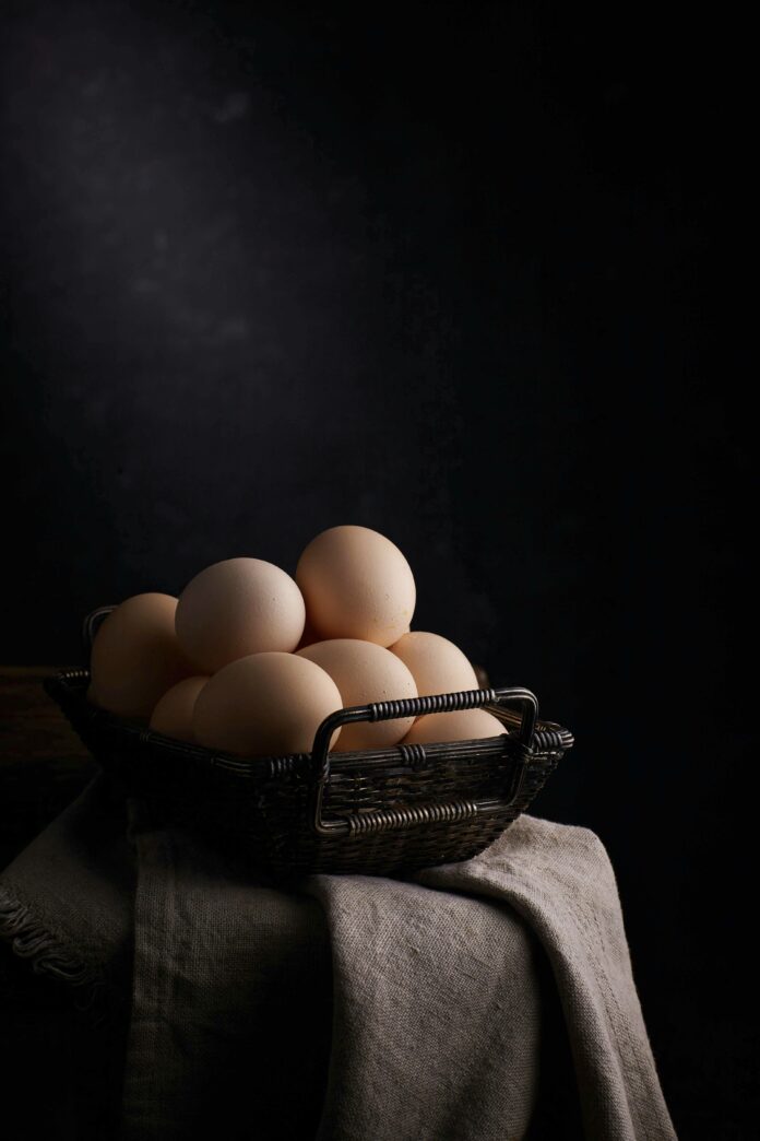 KRG Poultry Production Surpasses Demand as Egg Imports Remain Banned