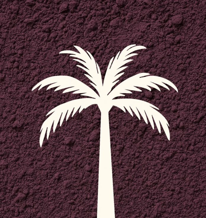 Smoothie Bowl Spot Palmera Introduces New Fruit Concept to Kurdistan Region