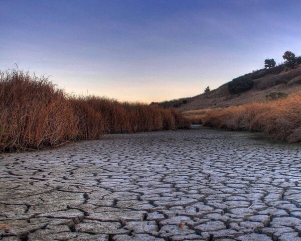Drought in Harir and Batas Plains Reduces Rice Production