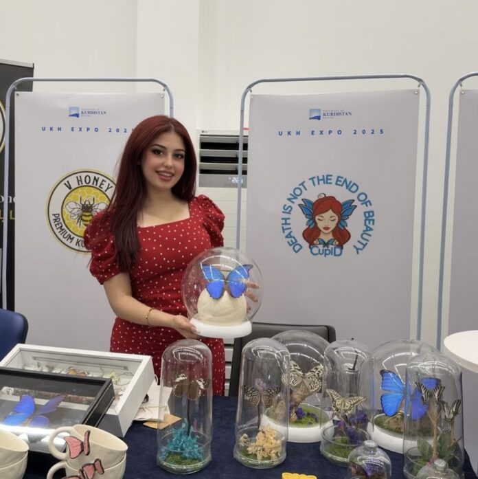 Erbil Butterfly Art Business Gains Recognition