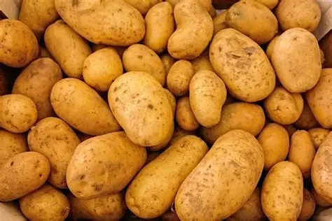 Potato Import Ban in Duhok to Protect Local Farmers