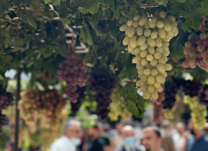 Grape and Honey Festival in Duhok Showcases Local Farmers