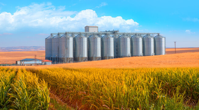 Wheat storage in Kurdistan Region strengthens farmer incomes