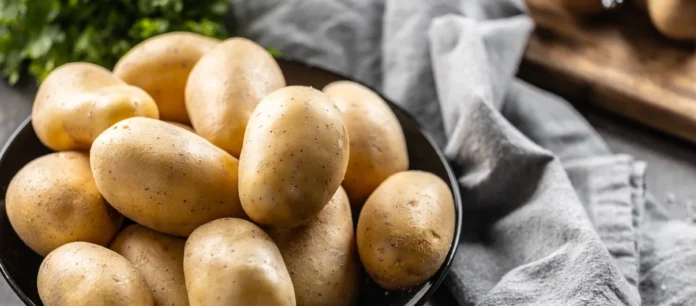 Kurdistan Region Expands Agricultural Trade with 6,000-Tonnes Potato Exports to UAE