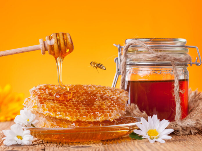 Kurdistan Region Produces 400 Tons of Honey in 2025