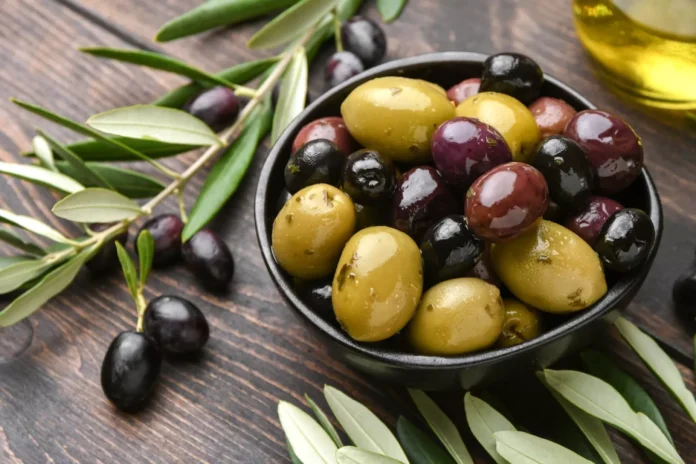 Bright Prospects for Kurdistan Region’s Olive Sector Despite Challenging Harvest