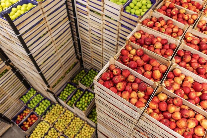 Demand for Luxury and Gift Fruits Drives Record Prices for Out-of-Season Greengages in Kurdistan