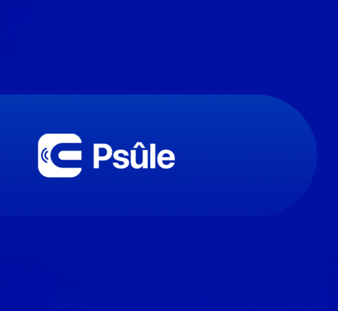 Kurdistan Region Launches e-Psûle Digital Payment Platform