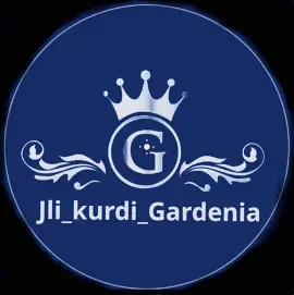 Jli Kurdi Gardenia: A Boutique Celebrating Kurdish Fashion