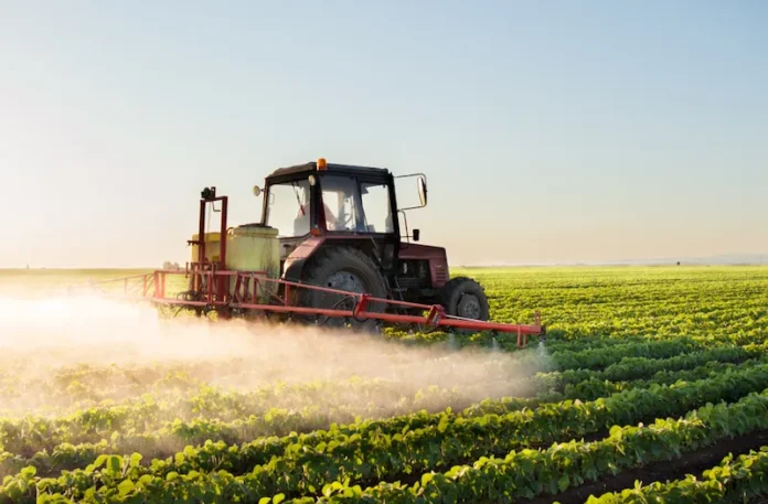 Duhok Agriculture Exports Over 10,000 Tons in Three Months