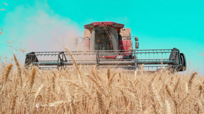 Kurdistan Silos Open to Receive Farmers’ Wheat Harvest