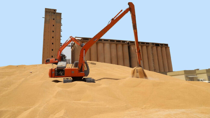 Erbil Seeks Transfer of 40,000 Tonnes of Wheat to Iraq Silos