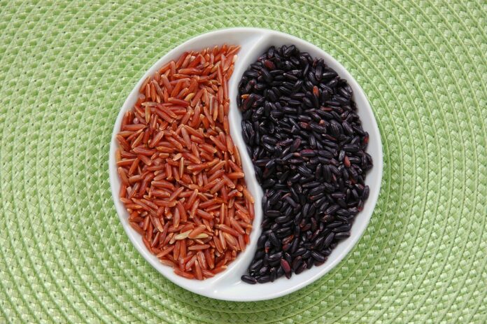 Kurdish Farmer Grows Black and Red Rice in Kurdistan Region