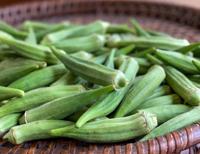 Pishdar Produces More Than 5,000 Tons of Okra Annually