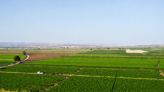 KRG Modernizes Agriculture to Boost Production and Exports